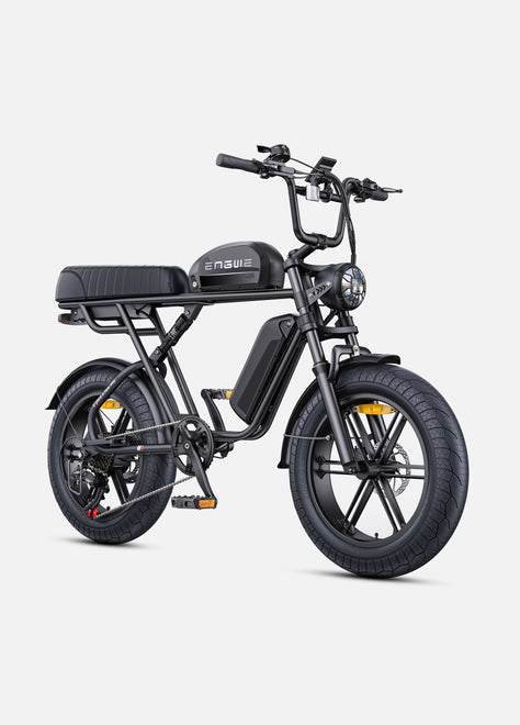 M1 Motorcycle-styled Electric Bike