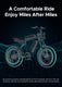 M20 Motorcycle-styled Electric Bike