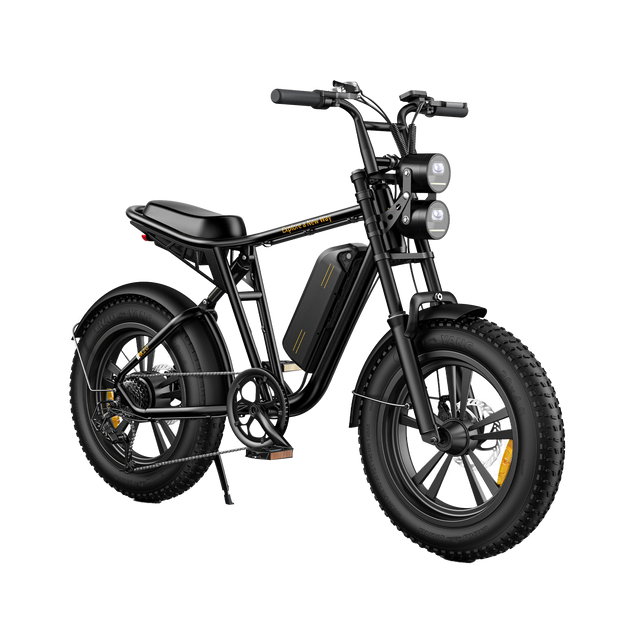 M20 Motorcycle-styled Electric Bike