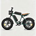 Verde-Bicicleta eléctrica estilo motocicleta M20